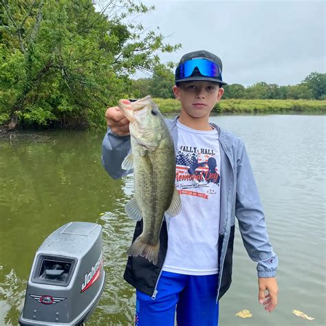 bald knob lake|bald knob lake fishing report.